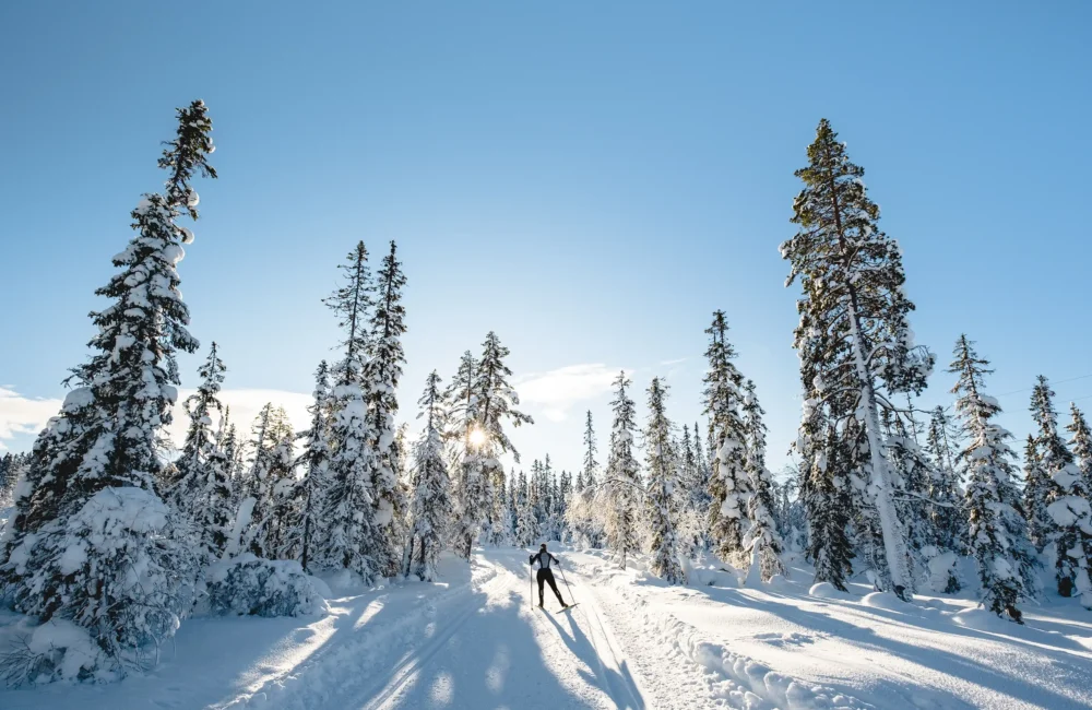Oslomarka, inkludert Nordmarka, har godt over 2 000 kilometer med preparerte langrennsløyper når forholdene tillater det.