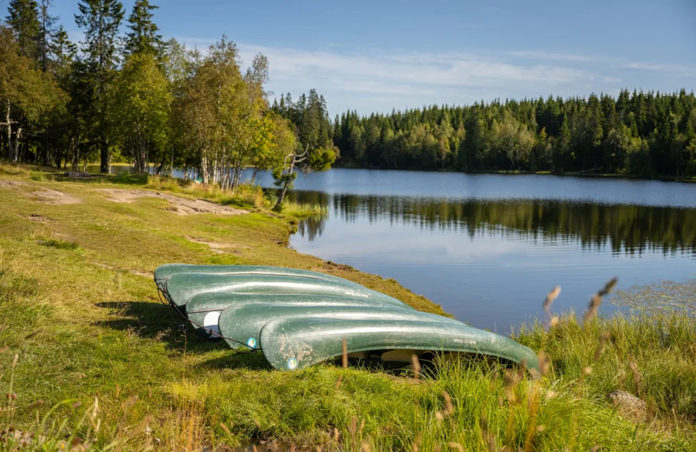 Øvresetertjern og området rundt brukes til variert friluftsliv sommer som vinter. Og ja, det er fisk i vannet!