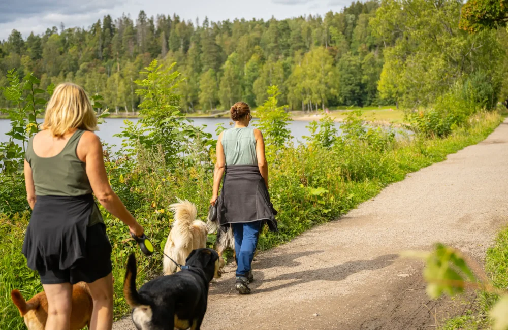 De bokstavelig talt hundrevis av kilometerne med flotte turløyper gjør godt for både to- og firbente – året rundt.